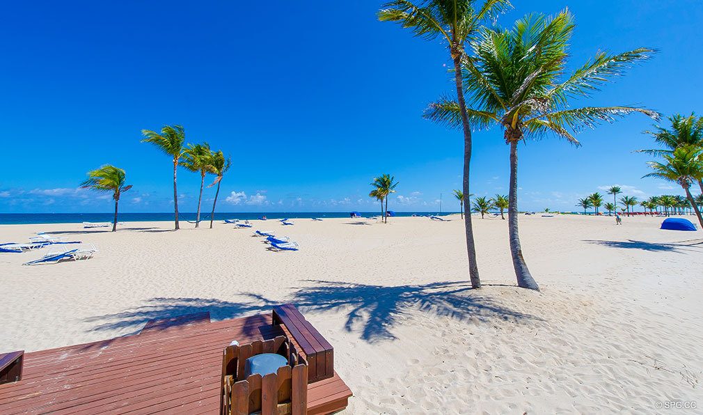 Oceanage Beach, Luxury Oceanfront Condominiums Located at 1650 S Ocean Lane, Ft Lauderdale, FL 33316